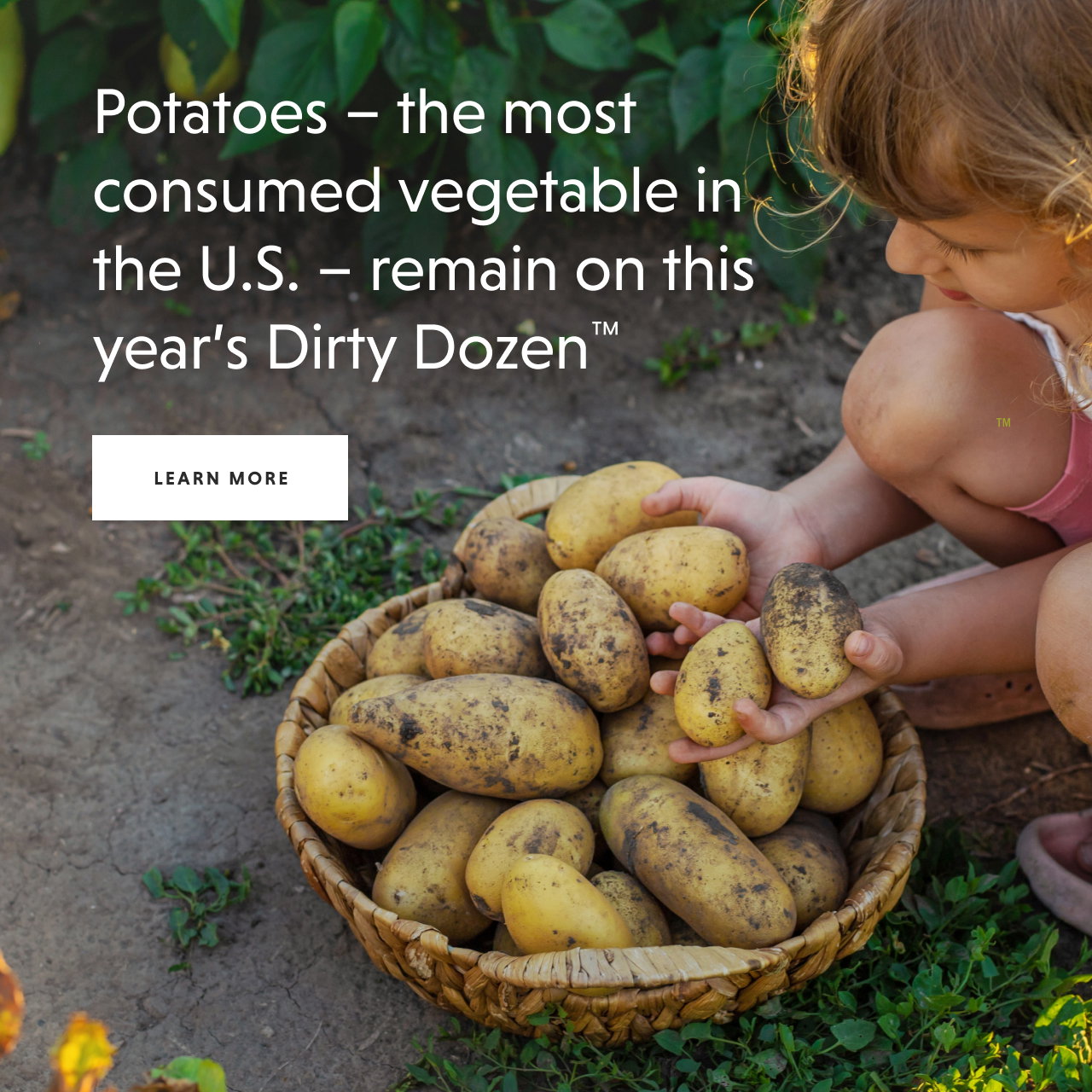 Potatoes on this year's Dirty Dozen™ - LEARN MORE
