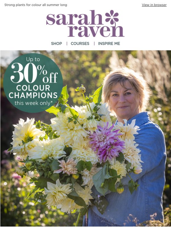 Get ahead with up to 30% off colour champions