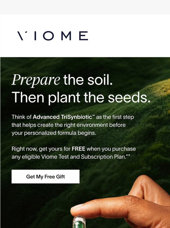 Why start with a gut primer?