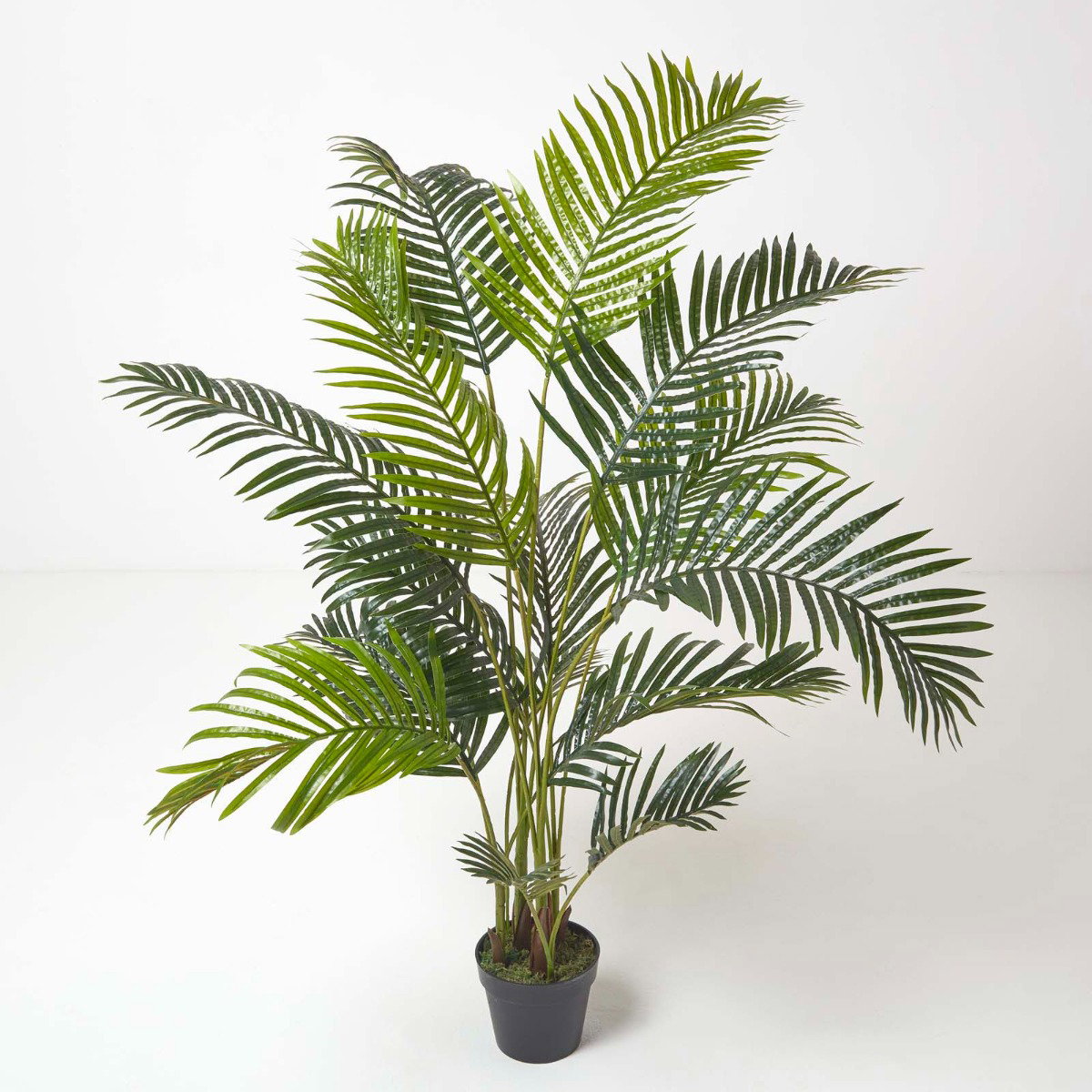 Image of Areca Palm Tree in Pot, 160 cm Tall