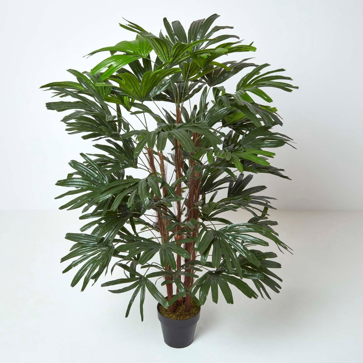 Image of Artificial Rhapis Excelsa Palm Tree, 150 cm Tall