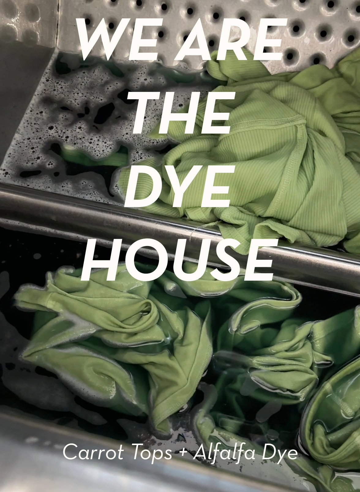 Dye Studio