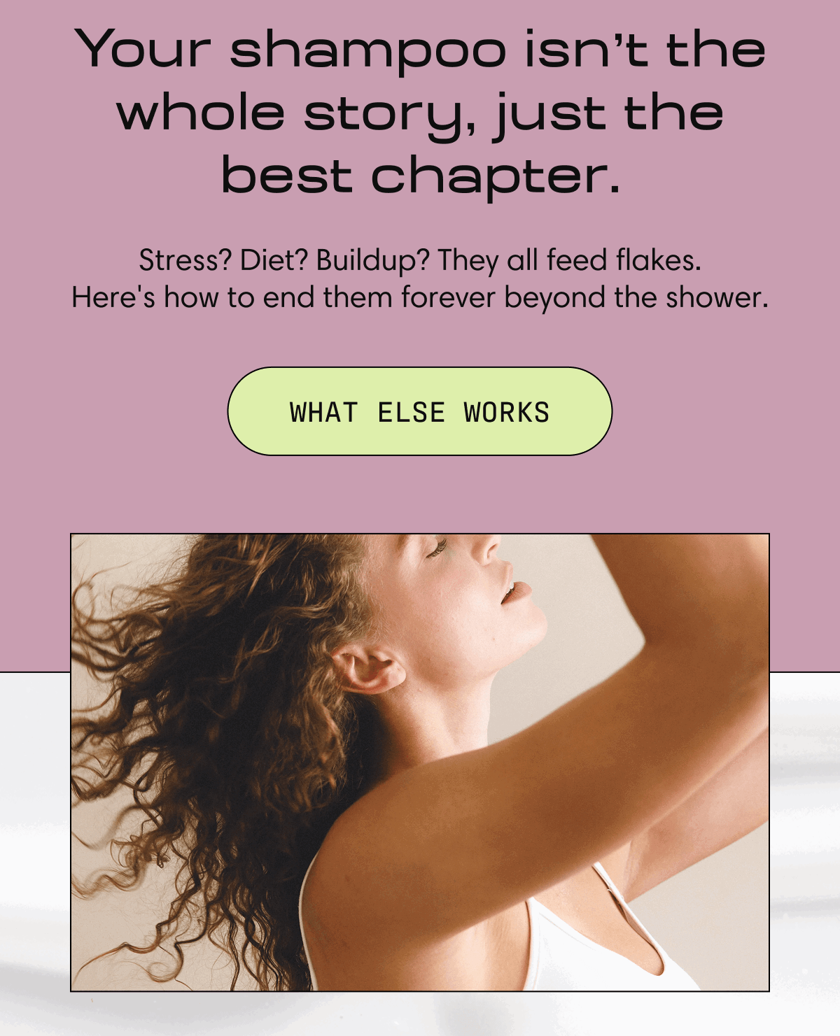 Your shampoo isn't the whole story, just the best chapter. | Stress? Diet? Buildup? They all feed flakes. Here's how to end them forever beyond the shower. | WHAT ELSE WORKS