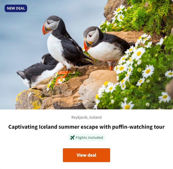Captivating Iceland summer escape with puffin-watching tour