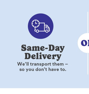 Same DAy-Delivery We'll transport them - so you don't have to.