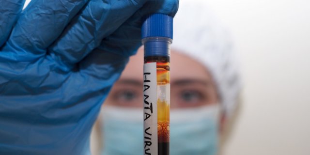 hantavirus symptômes enfants nombre cas