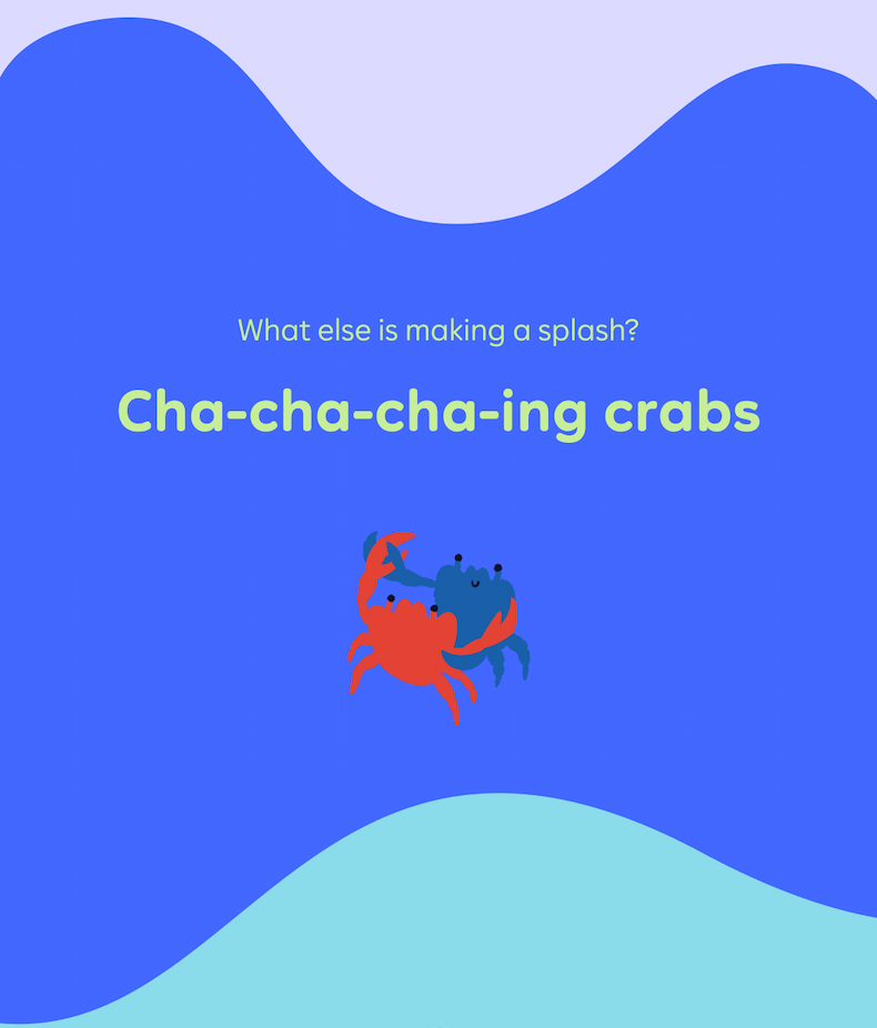 What else is making a splash? Cha-cha-cha-ing crabs