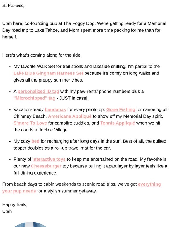 My Memorial Day packing list 🐶