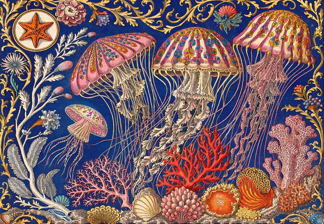 New Puzzle from Bluebird