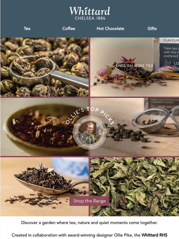 Handpicked By Ollie Pike