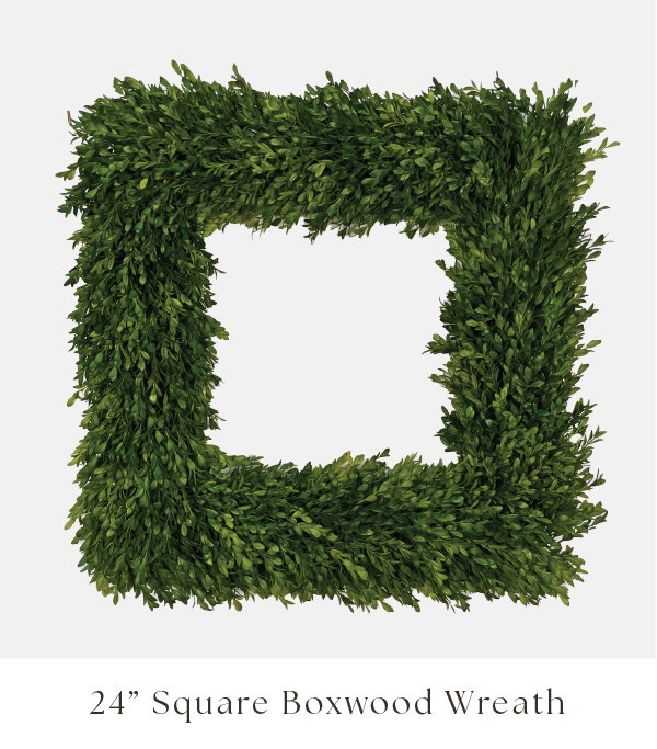 Square Boxwood 24"