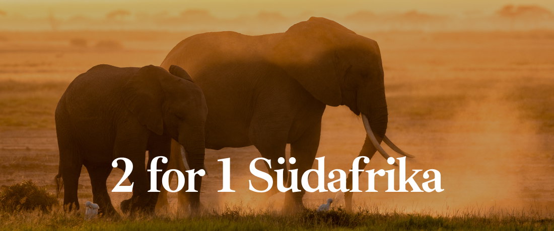2 for 1 Südafrika