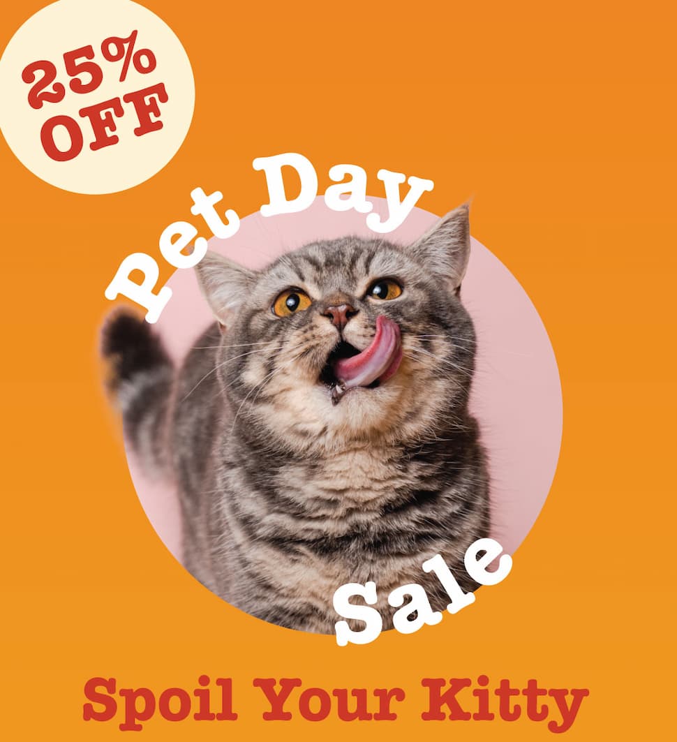 25% off - Pet Day Sale. Spoil your kitty!