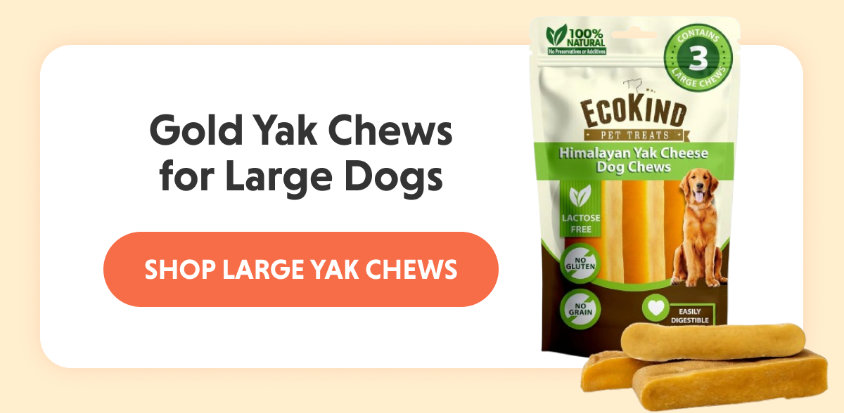Long-Lasting Gold Yak Chews for Large Dogs