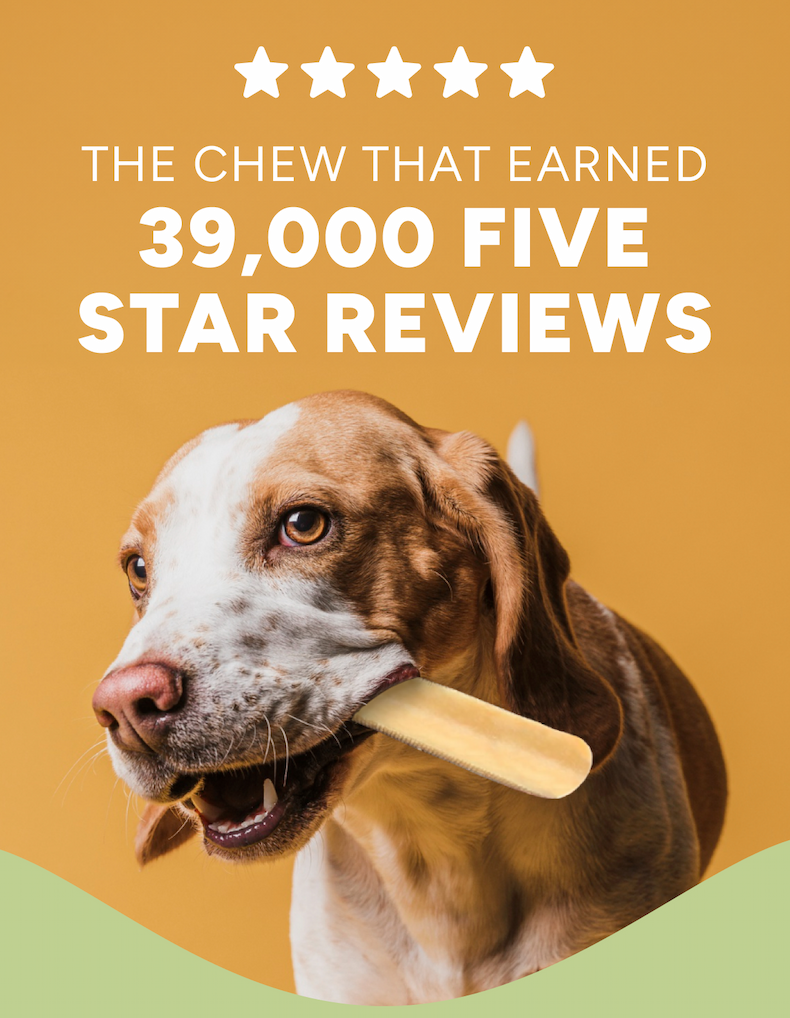 The Chew That Earned 39,000 Five Star Reviews