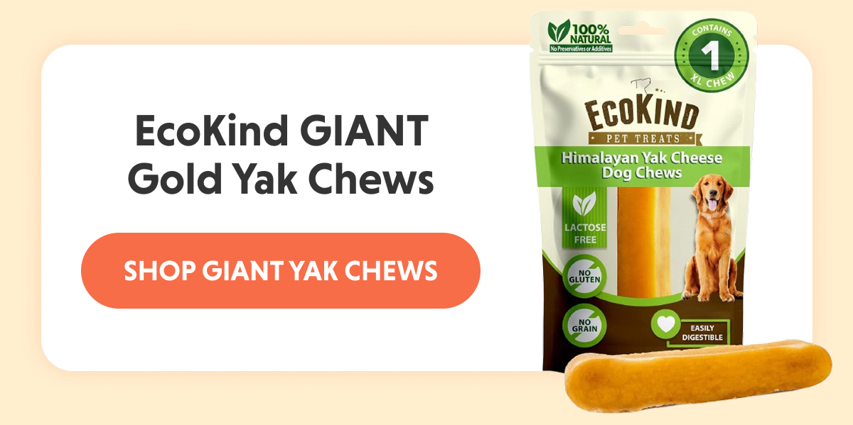 EcoKind GIANT Gold Yak Chews