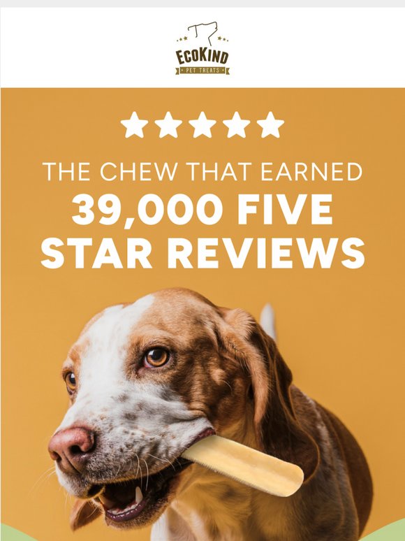 39,000 Dogs Reviewed This. Here's What They Said.