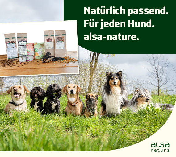 Hundefutter von alsa-nature