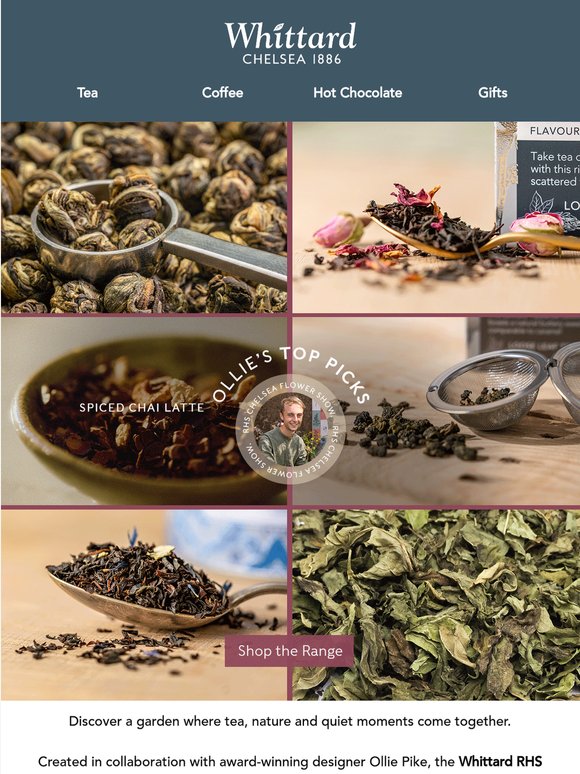 Handpicked By Ollie Pike