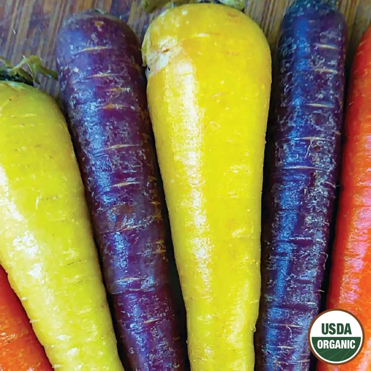 Image of Carrot, Rainbow Mix Organic Seeds, 1.3g