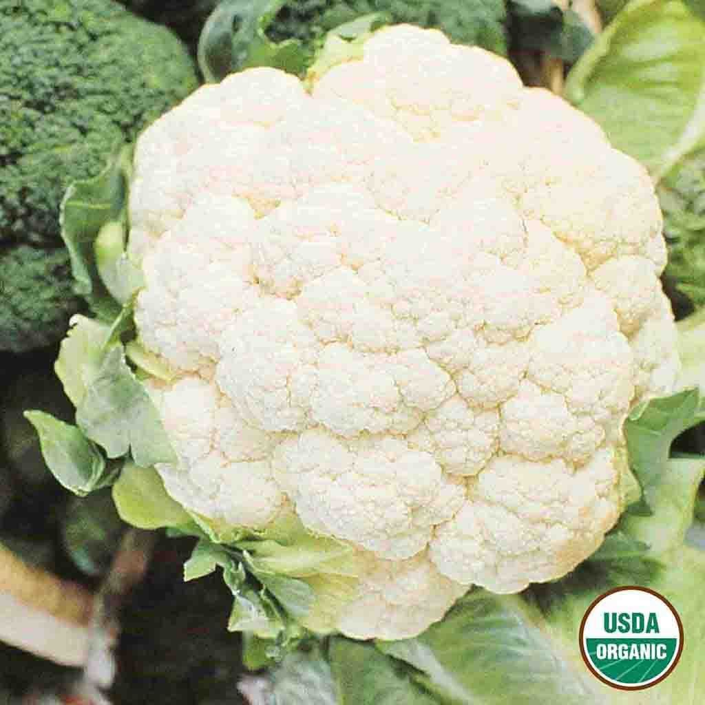 Image of Cauliflower, Snowball Y Organic Seeds, 700mg