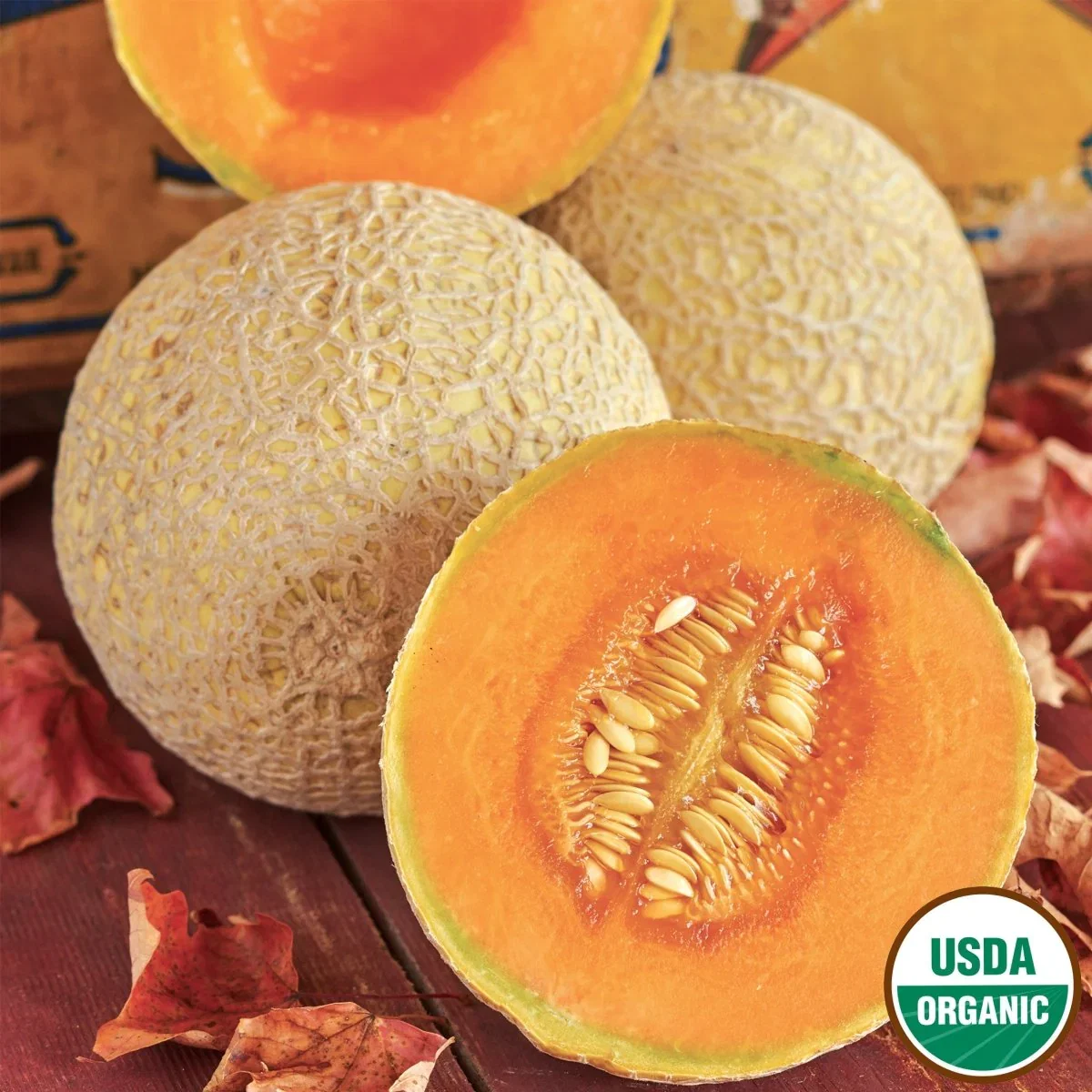 Image of Cantaloupe, Hearts of Gold Organic Seeds, 2.1g