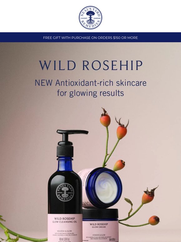 NEW: Wild Rosehip
