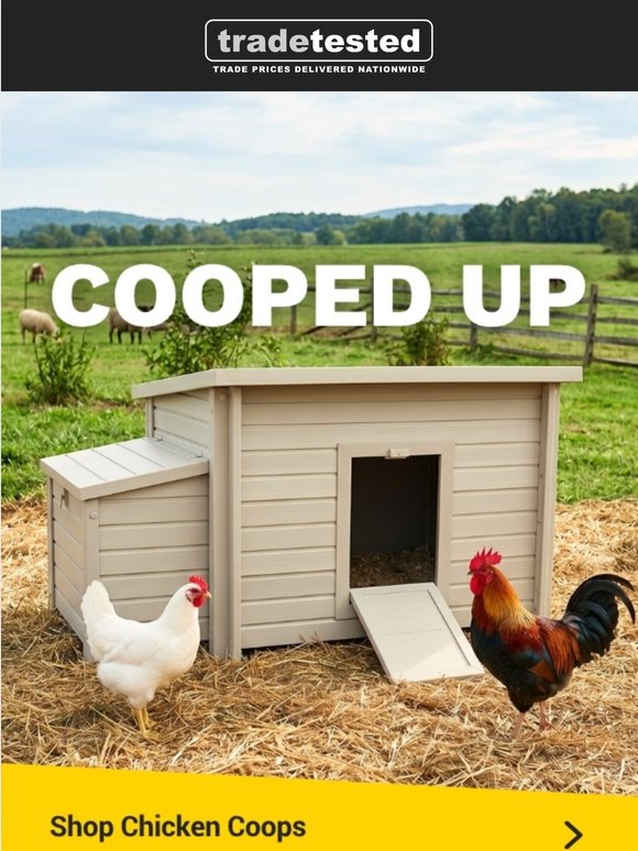 Cosy chicken coops 🐣