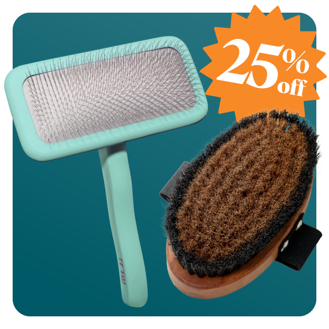 Brushes 25% OFF