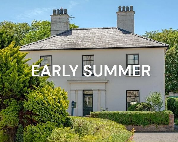 Early Summer