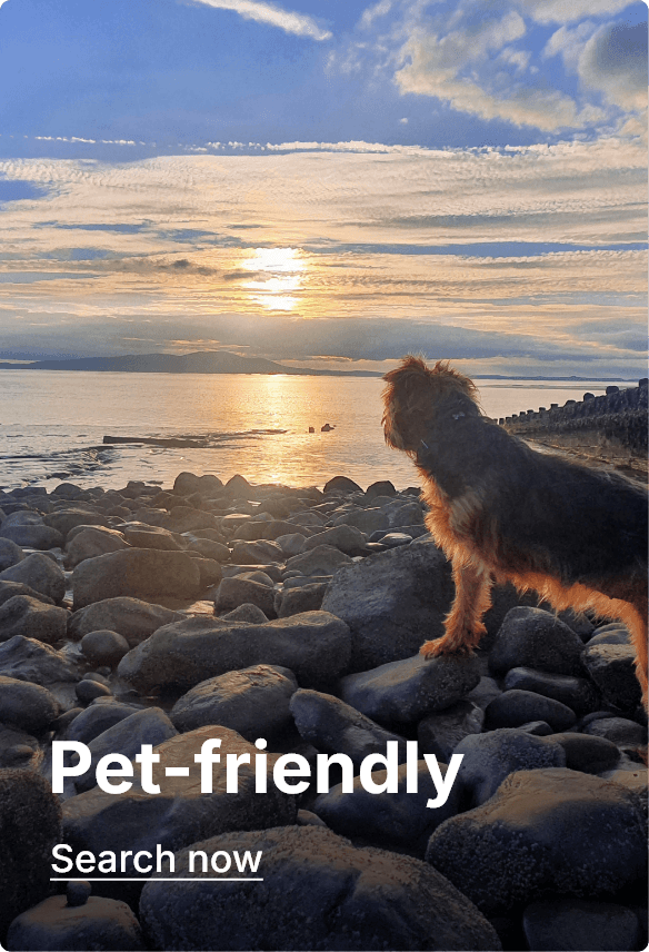 Pet-friendly breaks