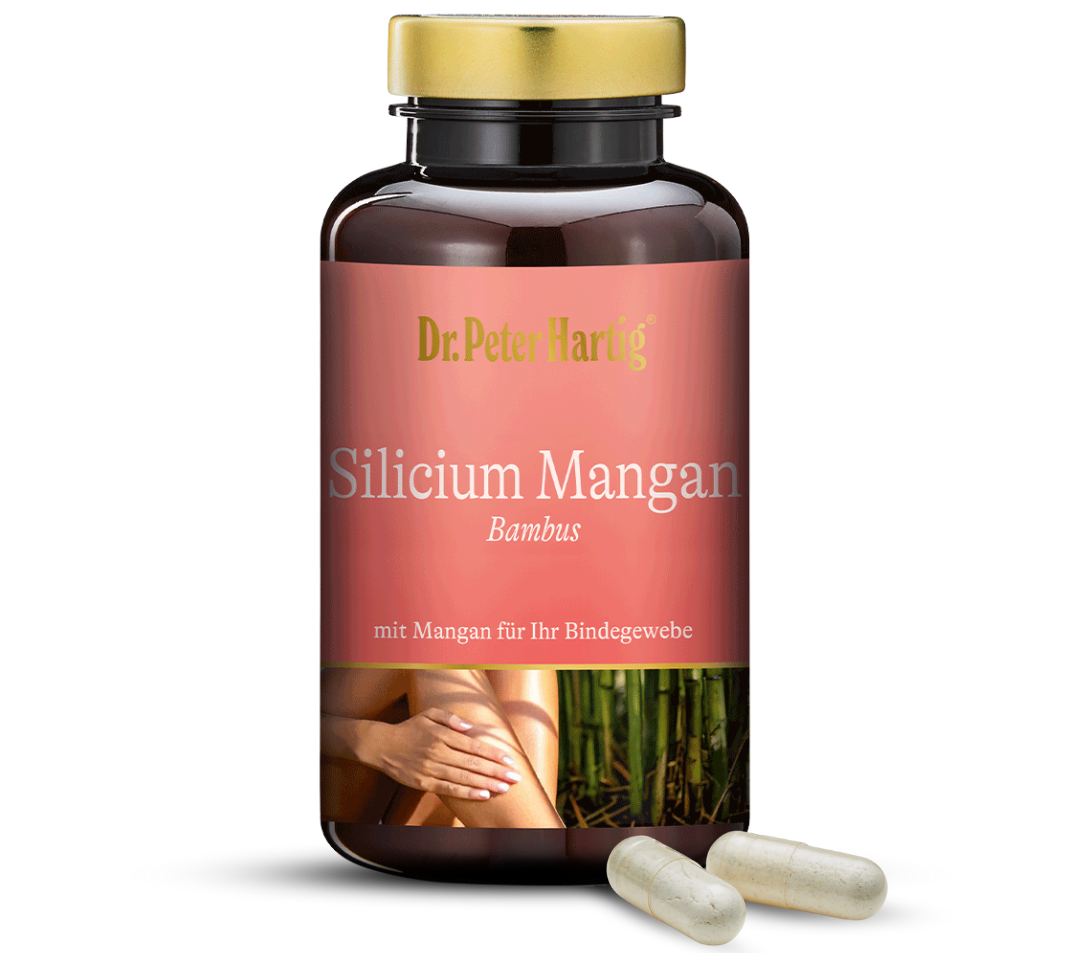 Silicium Mangan Bambus