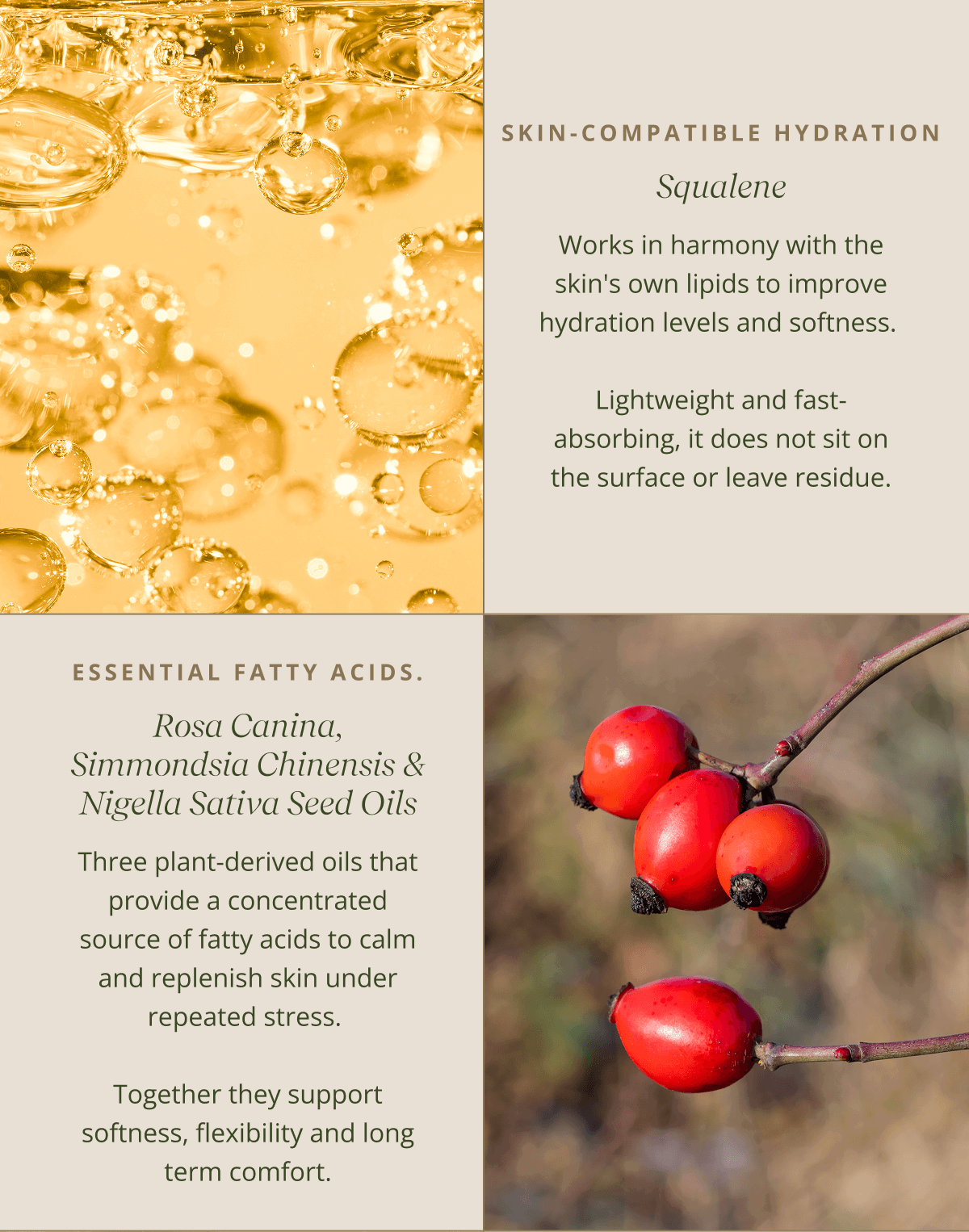 Squalene - Works in harmony with the skin's own lipids to improve hydration levels and softness.   Lightweight and fast-absorbing, it does not sit on the surface or leave residue. |   Rosa Canina, Simmondsia Chinensis & Nigella Sativa Seed Oils  - Three plant-derived oils that provide a concentrated source of fatty acids to calm and replenish skin under repeated stress.   Together they support softness, flexibility and long term comfort.