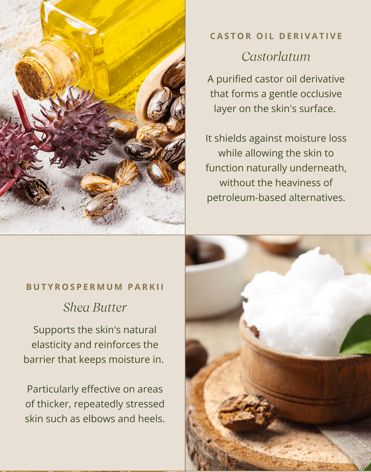 Castorlatum - A purified castor oil derivative that forms a gentle occlusive layer on the skin's surface.   It shields against moisture loss while allowing the skin to function naturally underneath, without the heaviness of petroleum-based alternatives. |  Shea Butter - Supports the skin's natural elasticity and reinforces the barrier that keeps moisture in.   Particularly effective on areas of thicker, repeatedly stressed skin such as elbows and heels.