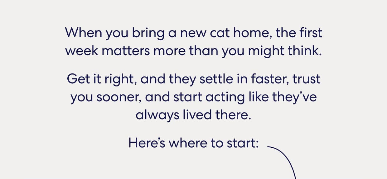 Your cat deserves better. So do you. Let's face it, a lot of cat products out there are just not good. That's why we obsess over every ingredient, every material, and every detail until we get it right. Use code WELCOME10 to save 10% off sitewide on your first order.