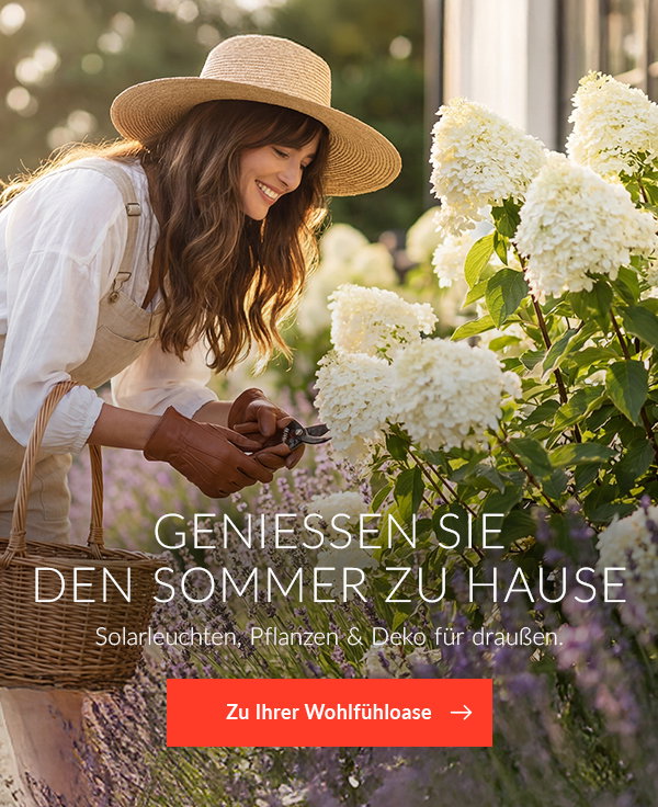 Mein neuer Garten