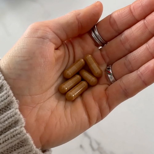 Mushroom Essentials Complex capsules in hand, Human Pro daily mushroom serving