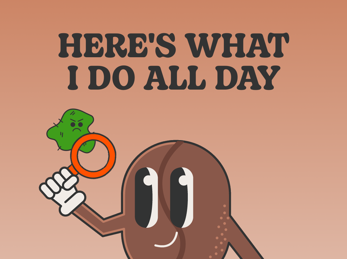 HERE'S WHAT I DO ALL DAY