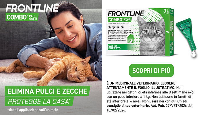 Frontline Combo