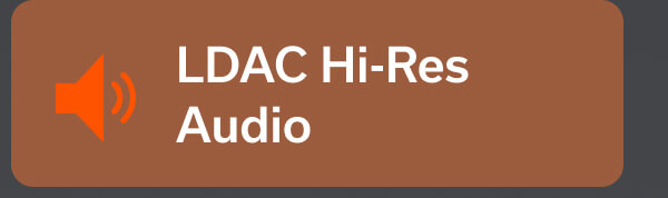 LDAC Hi-Res Audio