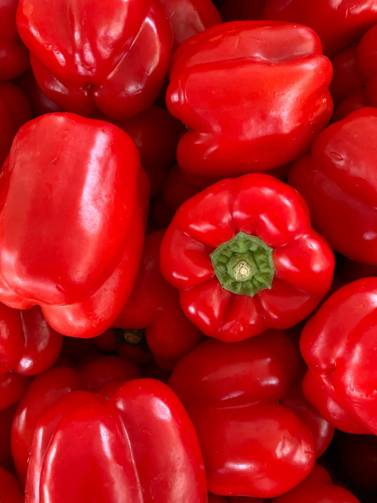 Image of Better Belle Pepper Plant