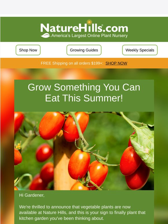 Fresh Pick: Vegetable Plants Just Landed at Nature Hills