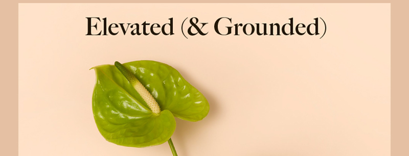 Elevated (& Grounded) Elevated (& Grounded)