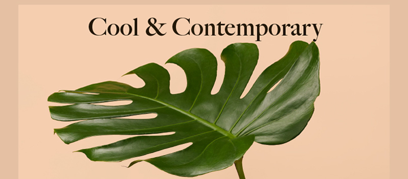 Cool & Contemporary Cool & Contemporary