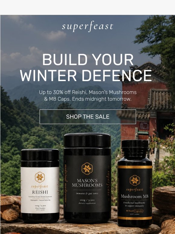 Build Your Winter Defence
