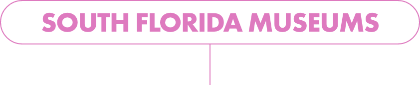 A horizontal banner displays the text "SOUTH FLORIDA MUSEUMS" in bold pink letters. The text is centered inside a rounded white capsule with a pink outline. The background below the banner is solid black, creating strong contrast. The simple graphic style suggests a web or print header for cultural or travel content.