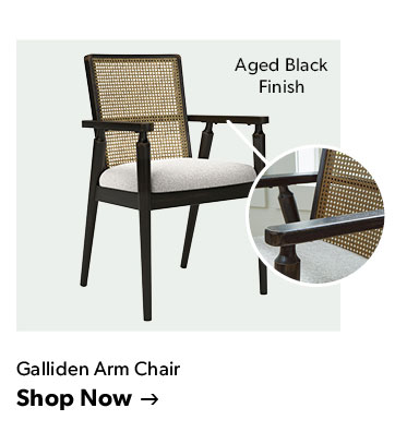 Click to shop the Galliden Arm Chair