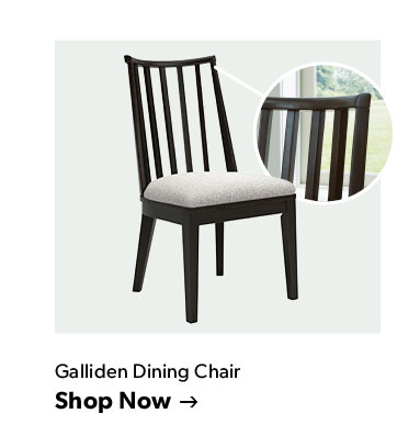 Click to shop the Galliden Dining Chair