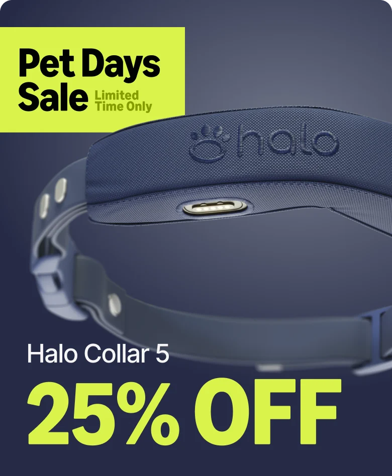 Our biggest Halo Collar 5 deal is back. Take 25% off during the Pet Days Sale and give your dog safe off-leash freedom. Limited time only, don't miss it.