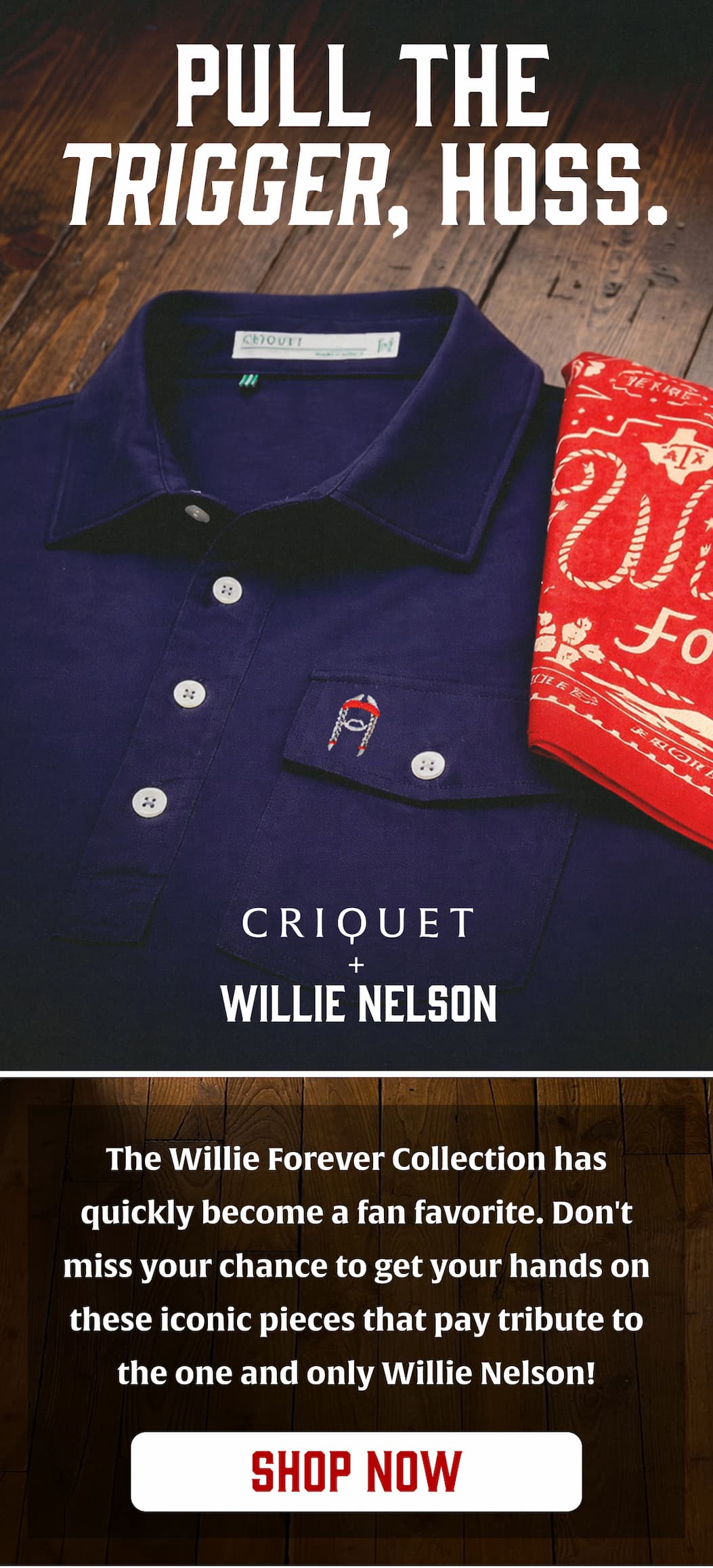 BODY-BLOCK1A | Willie Nelson